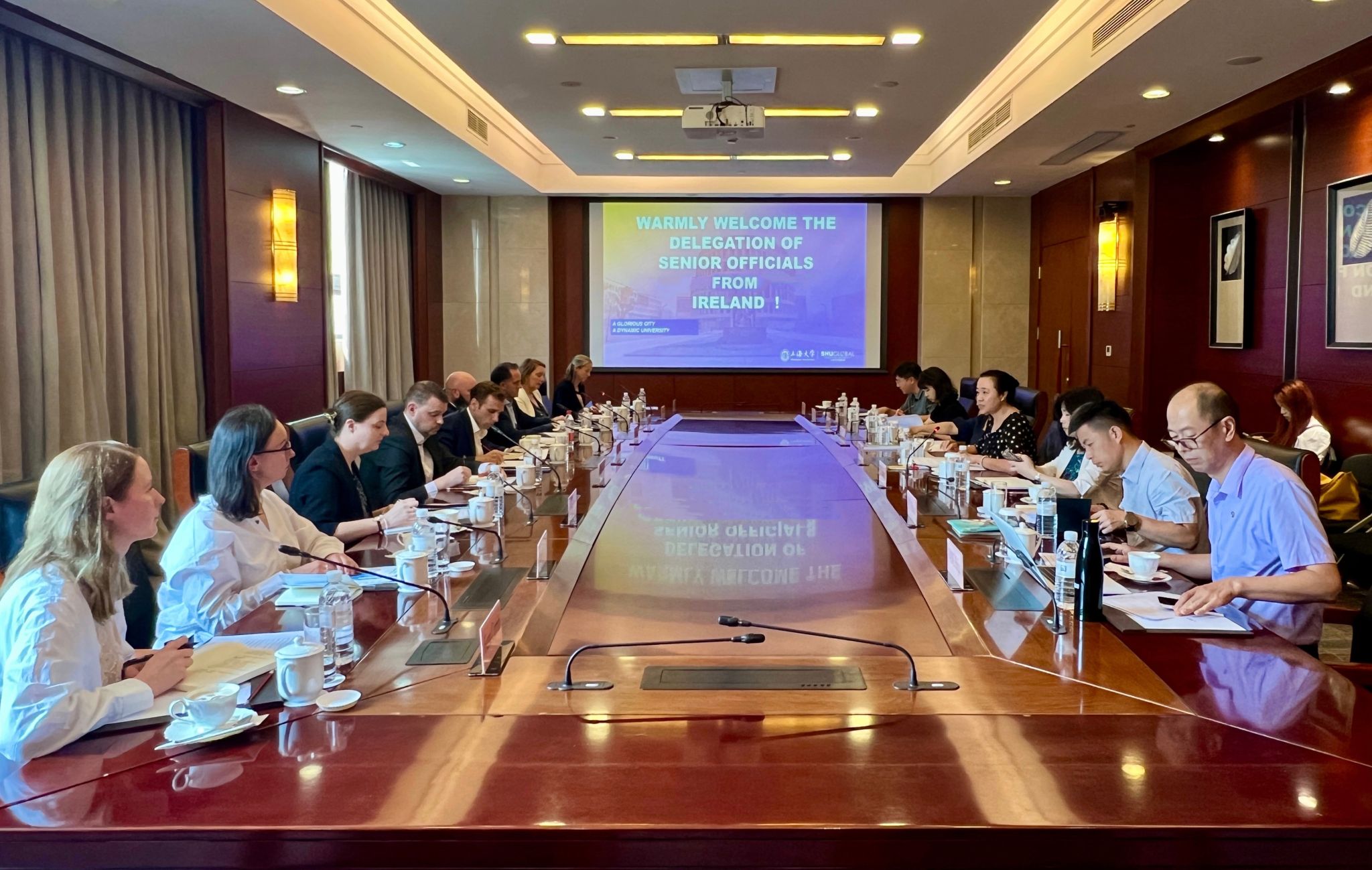 20250909爱尔兰高级官员来访-于校长.jpg