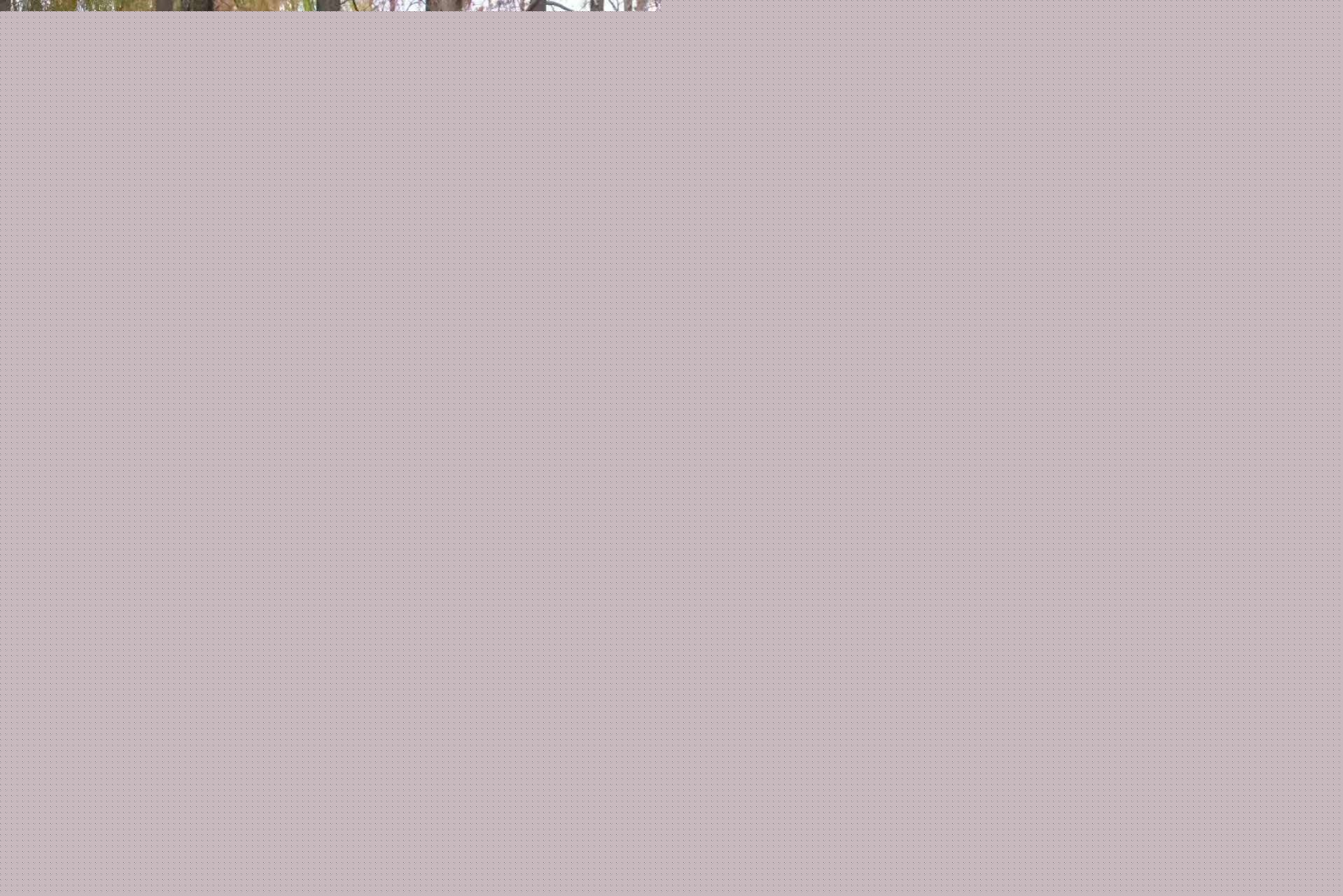20241225-31.jpg